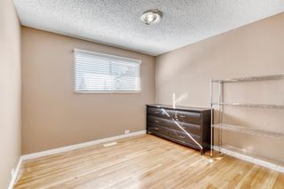 Photo 21: 4220 Maryvale Drive NE in Calgary: Marlborough Detached for sale : MLS®# A2027975