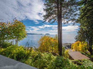 Photo 5: 877 GOWER POINT Road in Gibsons: Gibsons & Area House for sale (Sunshine Coast)  : MLS®# R2419918