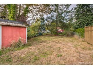 Photo 13: 4131 Tuxedo Dr in VICTORIA: SE Lake Hill House for sale (Saanich East)  : MLS®# 689549