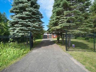 Photo 31: 7530 Concession 3 Road in Adjala-Tosorontio: Lisle House (2-Storey) for sale : MLS®# N5672883