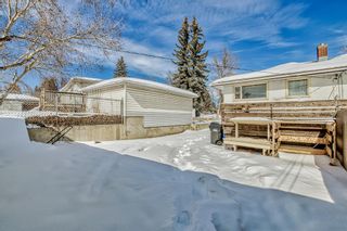 Photo 38: 531 Thornhill Drive NW in Calgary: Thorncliffe Detached for sale : MLS®# A2031837