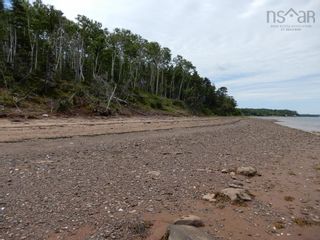 Photo 4: Lot 3 Three Brooks Road in Caribou: 108-Rural Pictou County Vacant Land for sale (Northern Region)  : MLS®# 202217247