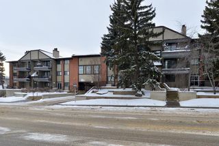 Photo 2: 1207 13045 6 Street SW in Calgary: Canyon Meadows Apartment for sale : MLS®# A1169697