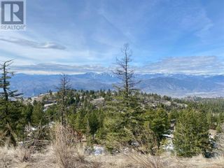 Photo 12: 300 PEREGRINE Place in Osoyoos: Vacant Land for sale : MLS®# 10308201