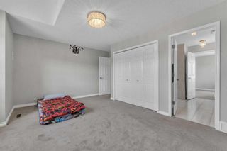 Photo 32: 29 Buffalo Rub Place NW: Airdrie Detached for sale : MLS®# A2127758