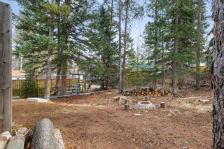 Photo 25: 1008 Larch Place: Canmore Detached for sale : MLS®# A1190106