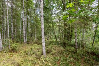 Photo 6: Lot 3 York Rd in Campbell River: CR Campbell River South Land for sale : MLS®# 940319
