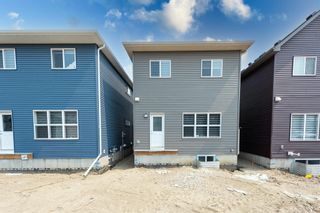 Photo 3: 163 homestead Drive NE in Calgary: C-686 Detached for sale : MLS®# A2050338