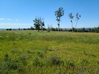 Photo 3: On Range Road 52: Rural Parkland County Commercial Land for sale : MLS®# A1252782