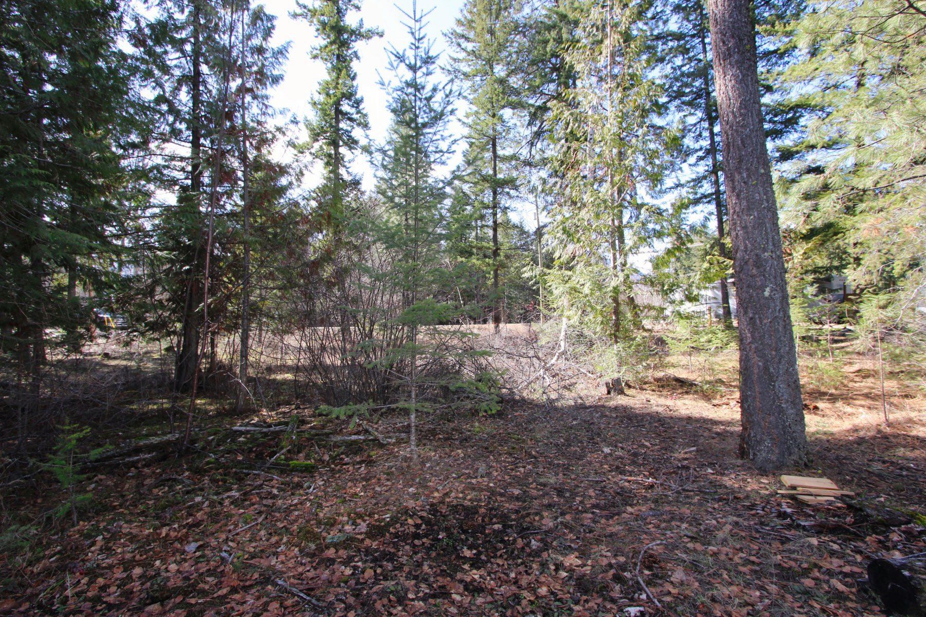 Photo 23: Photos: Lot B Zinck Road in Scotch Creek: Land Only for sale : MLS®# 10249220