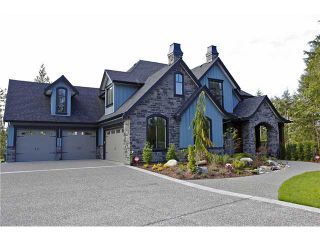 Photo 1: 26420 121ST Avenue in Maple Ridge: Northeast House for sale : MLS®# V1029072