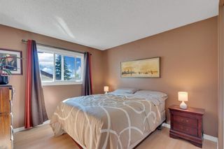 Photo 21: 106 Abalone Crescent NE in Calgary: Abbeydale Detached for sale : MLS®# A2003308