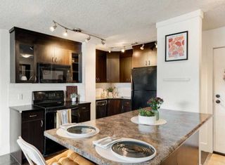 Photo 1: 203 1530 16 Avenue SW in Calgary: Sunalta Apartment for sale : MLS®# A2132912