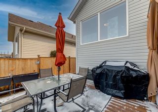 Photo 26: 129 Sagewood Boulevard SW: Airdrie Detached for sale : MLS®# A1202099