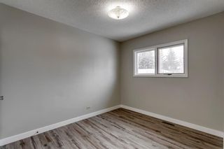 Photo 11: 627 9 Avenue NE in Calgary: Renfrew Detached for sale : MLS®# A1060259
