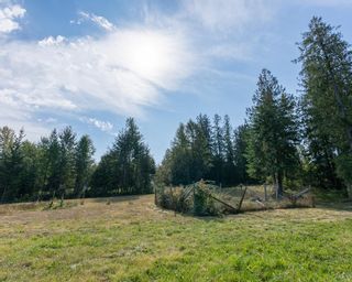Photo 10: Lot B BALFOUR AVENUE in Kaslo: Vacant Land for sale : MLS®# 2473079