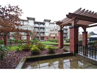 Photo 14: 119 33539 HOLLAND Avenue in Abbotsford: Central Abbotsford Condo for sale in "THE CROSSING" : MLS®# F1430875
