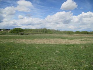 Photo 17: Twp Rd 290: Rural Mountain View County Land for sale : MLS®# C4278326