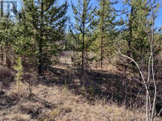 Photo 17: Lot B LONE BUTTE HORSE LAKE ROAD in 100 Mile House: Vacant Land for sale : MLS®# R2870362