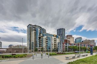 Photo 5: #909 325 3 ST SE in Calgary: Downtown East Village Condo for sale : MLS®# C4188161