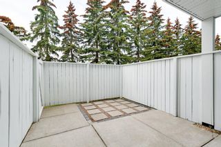 Photo 18: 1102 3115 51 Street SW in Calgary: Glenbrook Apartment for sale : MLS®# A2052592
