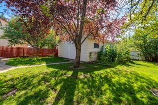 Photo 43: 509 ALEXANDER Crescent NW in Calgary: Rosedale Detached for sale : MLS®# A1091236