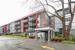 Photo 19: 110 11240 DANIELS Road in Richmond: East Cambie Condo for sale in "DANIELS MANOR" : MLS®# R2741531