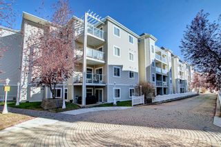 Photo 25: 206 290 Shawville Way SE in Calgary: Shawnessy Apartment for sale : MLS®# A1146672