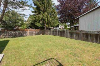 Photo 20: 11838 BONSON Road in Pitt Meadows: Central Meadows House for sale : MLS®# R2083009