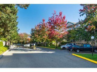 Photo 17: 205 20443 53RD Avenue in Langley: Langley City Condo for sale in "Countryside Estates" : MLS®# R2408980