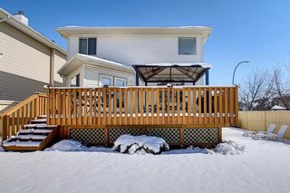 Photo 23: 777 Panorama Hills Drive NW in Calgary: Panorama Hills Detached for sale : MLS®# A1096936