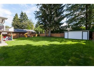 Photo 38: 3952 205B Street in Langley: Brookswood Langley House for sale in "Brookswood" : MLS®# R2486074