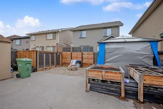 Photo 44: 367 Prestwick Close SE in Calgary: McKenzie Towne Detached for sale : MLS®# A2128907