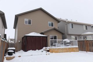Photo 47: 1530 37b Ave in Edmonton: House for sale : MLS®# E4228182