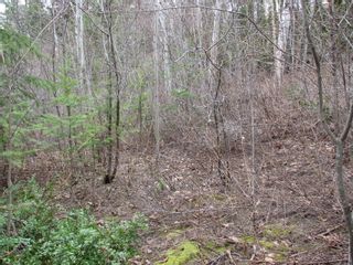 Photo 2: Lot 58 Ta Lana Trail in Sorrento: Blind Bay Land Only for sale (Shuswap)  : MLS®# 10250097