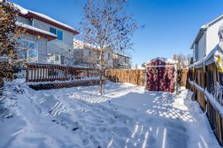 Photo 34: 151 Cranwell Green SE in Calgary: Cranston Detached for sale : MLS®# A2010647