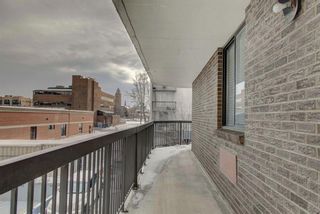 Photo 24: 203 215 14 Avenue SW in Calgary: Beltline Apartment for sale : MLS®# A1092010