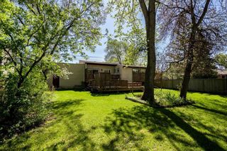 Photo 18: 247 Speers Road in Winnipeg: Windsor Park House for sale (2G)  : MLS®# 202312139