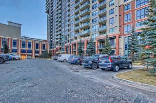 Photo 44: 1211 8880 Horton Road SW in Calgary: Haysboro Apartment for sale : MLS®# A2096338