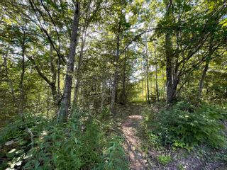 Photo 15: Lot 21-1 Seaview Cemetary Road in Bay View: 108-Rural Pictou County Vacant Land for sale (Northern Region)  : MLS®# 202219438