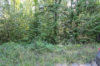 Photo 3: Lot 91 Anglemont Way in Anglemont: Land Only for sale (Shuswap)  : MLS®# 10069930