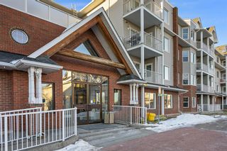 Main Photo: 319 8 Prestwick Pond Terrace SE in Calgary: McKenzie Towne Apartment for sale : MLS®# A2013843
