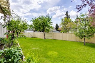 Photo 36: 37 Edgepark Place NW in Calgary: Edgemont Detached for sale : MLS®# A1226227