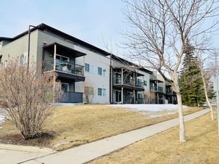 Photo 3: 311 280 Banister Drive: Okotoks Apartment for sale : MLS®# A1190853