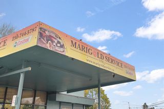 Photo 5: 800 W Burnside Rd in Saanich: SW Marigold Business for sale (Saanich West)  : MLS®# 920503