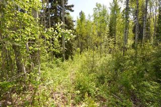 Photo 39: 2847 PTARMIGAN Road in Smithers: Smithers - Rural House for sale (Smithers And Area (Zone 54))  : MLS®# R2457122