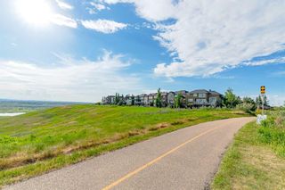 Photo 49: 141 Cranridge Terrace SE in Calgary: Cranston Detached for sale : MLS®# A2036016
