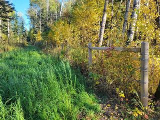 Photo 11: NW-4-67-19-4 , Boyle (Alpac): Rural Athabasca County Rural Land/Vacant Lot for sale : MLS®# E4264461