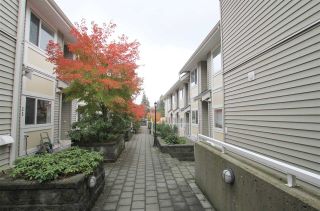 Photo 14: 11 7136 18TH Avenue in Burnaby: Edmonds BE Townhouse for sale (Burnaby East)  : MLS®# R2318561