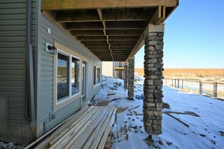 Photo 37: 28 Cornerbrook Cove NE in Calgary: Cornerstone Detached for sale : MLS®# A2051748